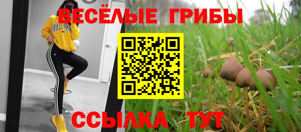 Псилоцибиновые грибы мухоморы  Вход с VPN  Среднеуральск 